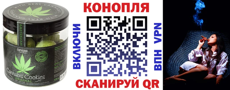 Купить закладки  Шахты  Canna-Cookies конопля 